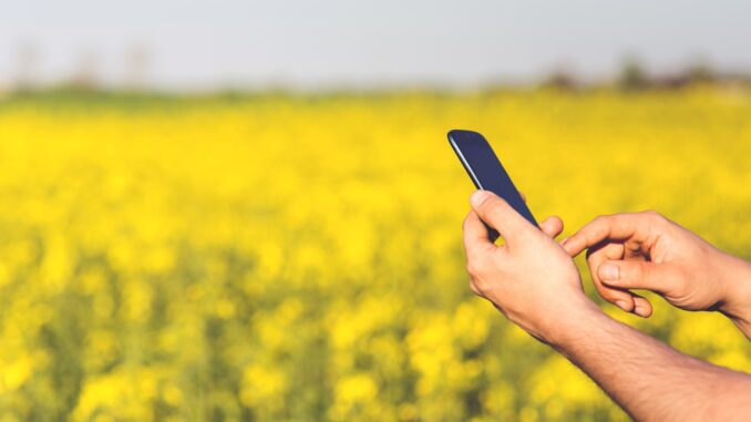 smartphone-mobile-man-grass-plant-technology-722879-pxhere.com