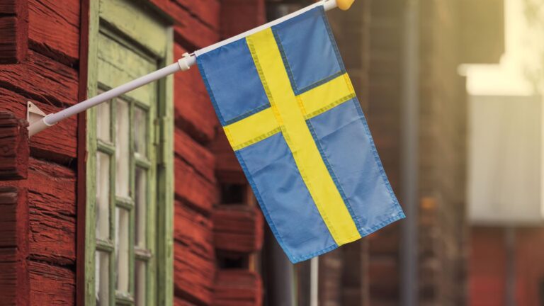 Fukt och svamp i källaren – vad det beror på och vad du kan göra